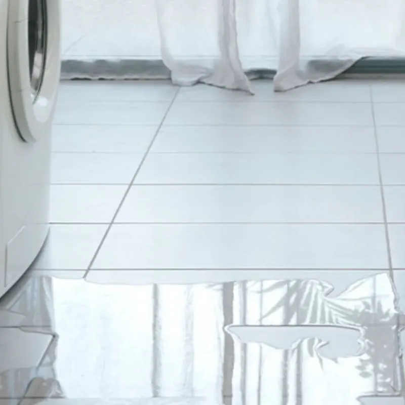 Appliance Leak Cleanup in Castaic, CA