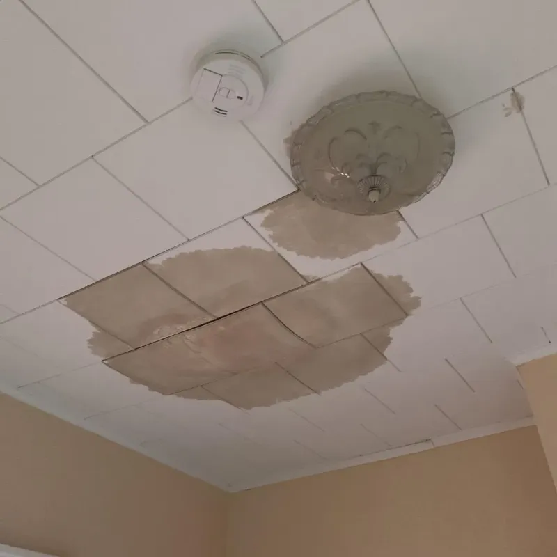 Ceiling Water Damage Repair in Castaic, CA